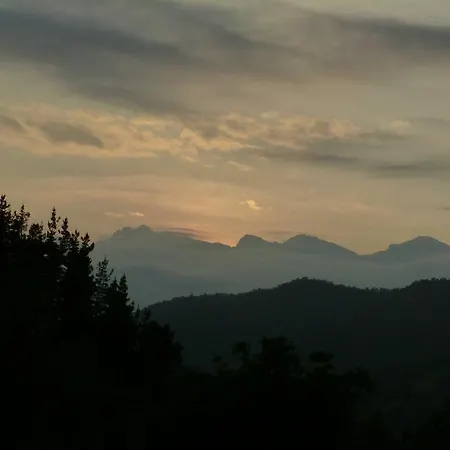 La Pisa Affittacamere