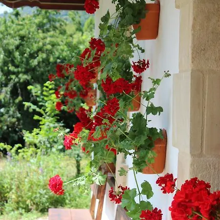 La Pisa Cabezón de Liébana